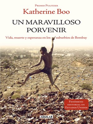 cover image of Un maravilloso porvenir